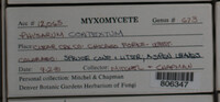 Image Associated With the Occurence